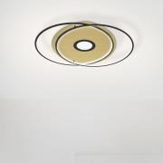 Paul Neuhaus Q-AMIRA LED plafondlamp ovaal, zwart