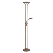 Lunera, een sierlijke LED uplighter met leeslamp