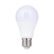 LED lamp E27 A60 5W 500 lm 2.700 K, opaal