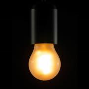 Segula LED lamp E27 3,2W 922 A15 mat dimbaar
