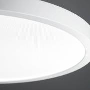 LED hanglamp VIVAA 2.0 VTL Ø45cm kabel wit CCT