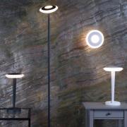 LED vloerlamp Bermuda, kop draaibaar, wit