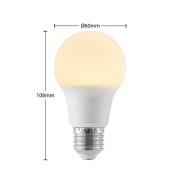 LED lamp E27 A60 8W 3.000K opaal, 2 per set