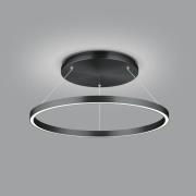 LED hanglamp Lisa-D, ringvormig, zwart