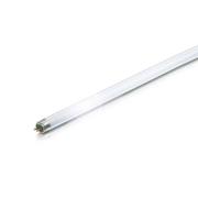 TL-buis G5 T5 21W 840 MASTER TL5 HE