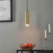 Hanglamp Shine, 1-lamp, goud