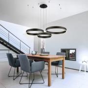 Paul Neuhaus Sculli LED hanglamp, zwart