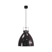 Jieldé Augustin A360 hanglamp zwart glanzend