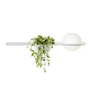 Vibia Palma 3702 wandlamp, plantenschaal, wit