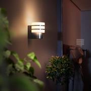 Philips Hue LED buitenwandlamp Tuar in RVS