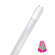 LED lamp GoLeaf T8 G13 volspectrum 8W 60cm