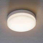Bega 12128 LED plafondlamp DALI 930 wit 26cm