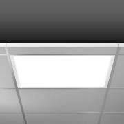 RZB Sidelite Eco LED paneel 4-staps 59,5cm 38W 830