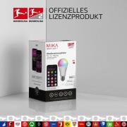 LED lamp Mika voor stadionsfeer, E27 10W RGBW