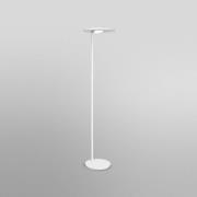 LEDVANCE SUN@Home Panan Floor LED vloerlamp