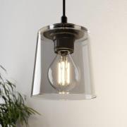 Hanglamp Lucea 1-lamp met glazen kap smoke