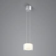 BANKAMP Grand Clear LED hanglamp, 1-lamp, Ø 20 cm