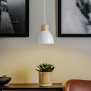 Hanglamp Tira, 1-lamp, wit