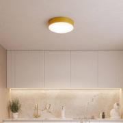 Plafondlamp Cleo, Ø 20 cm, IP54, goudkleurig, metaal, E27
