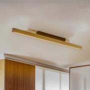 LED plafondlamp Forrestal, lengte 90 cm