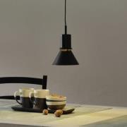 Anglepoise Type 80 hanglamp, matzwart