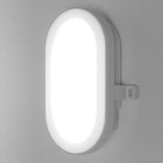 LEDVANCE Bulkhead LED buitenwandlamp 5,5W in Wit