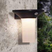 Corbezzola LED buiten wandlamp, zwart, sensor