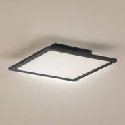 Lindby LED paneel Enhife, zwart, 29,5 x 29,5 cm, aluminium