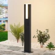 Lucande Virgalia LED tuinpadverlichting, 65 cm