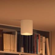 Philips Hue White Ambiance Pillar LED-spot wit