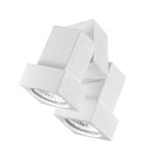 Plafond- of wandspot STYLE Q 2-lamps wit