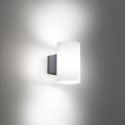 LED buiten wandlamp Bianca, donkergrijs, kunststof