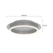 Ringlux plafondlamp, staalkleurig, Ø 32 cm, metaal