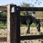 Buitenwandlamp Offshore, IP44, rood aluminium