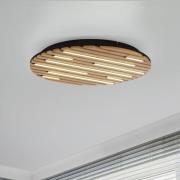 Paul Neuhaus SMART+ plafondlamp Q-Acoustic, hout Ø 60 cm