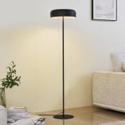 Vloerlamp Lindby Edion, zwart, metaal