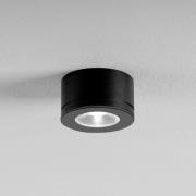 EGG LED downlight Newton zwart 30° 3.000 K Ø 6,3 cm IP54