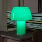 Nemo LED tafellamp Lorosae, groen, glas, IP54, USB