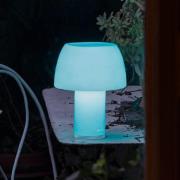 Nemo LED tafellamp Lorosae, blauw, glas, IP54, USB