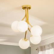 Selva plafondlamp, 5-lamps offset, goud