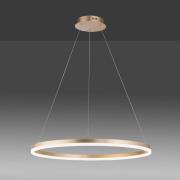 Paul Neuhaus LED hanglamp Titus, Ø 80 cm, messing, dimbaar