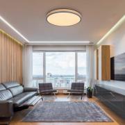 LED plafondlamp Doro, Ø 60 cm, donker grafiet/hout, hout, CCT