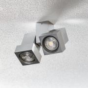 Plafond- of wandspot STYLE Q 2-lamps alu