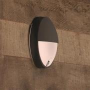 Capricorn - LED outdoor wandlamp m bewegingsmelder
