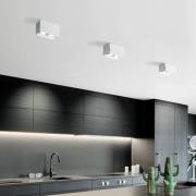 Plafondlamp Elide 2-lamps