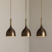 Hanglamp Noak 3-lamps, lang, titaan-goud/goud, staal