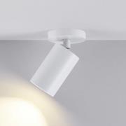 CAN TILT plafondspot, wit, Ø 8 cm, 1-lamp, metaal, GU10