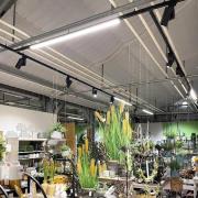 LED track lamp LINEAR PRO zwart 930 60 cm 3-circuit DALI