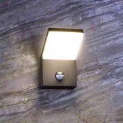LED buiten wandlamp Tucanae, grijs, hoogte 22 cm, IP54