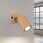 Wandspot carbon, goudkleurig, projectie 16 cm, schakelaar
